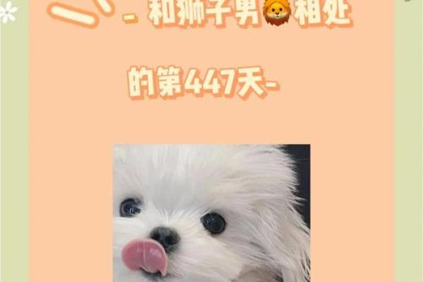 双子座男狮子座女(双子座男狮子座女配对)