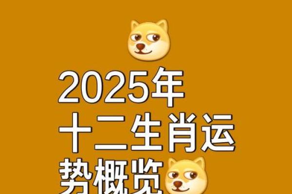 1984年生肖鼠2025年运势