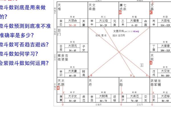 2025年4月1日巳时男命紫微斗数全解盘 2025年4月1日巳时男命紫微斗数全解盘