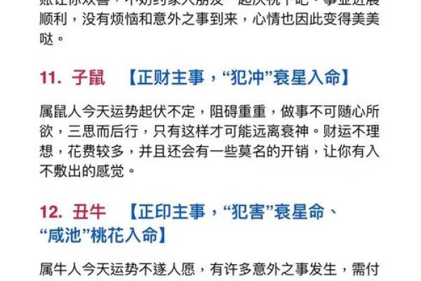 属羊2024年血光之灾预警如何化解与防范