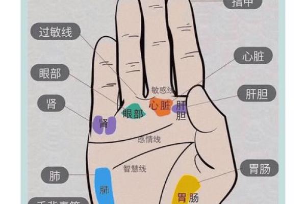 五角星手纹算命图解 五角星手纹手相 五角星手纹算命图解 五角星手纹手相