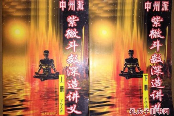 紫薇斗数书店有吗 紫薇斗数书店有吗