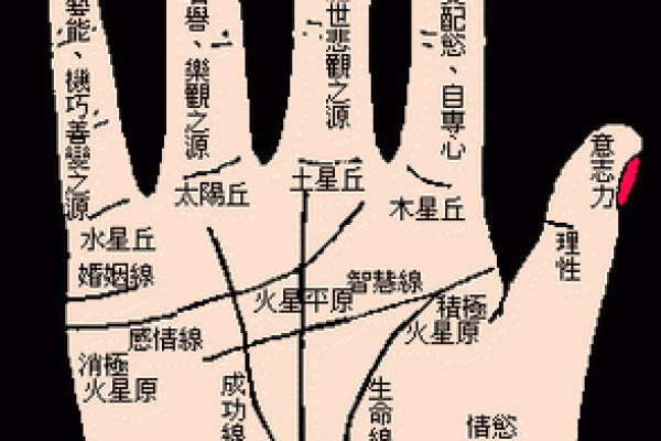 背部胎记算命图解