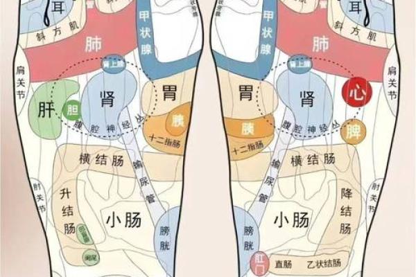 脚底的胎记算命分析