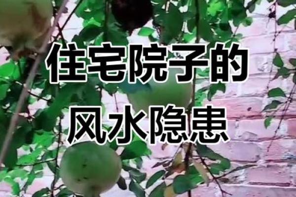 房子院子讲究什么风水好 房子院子讲究什么风水好