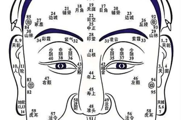 面部不同位置的胎记算命