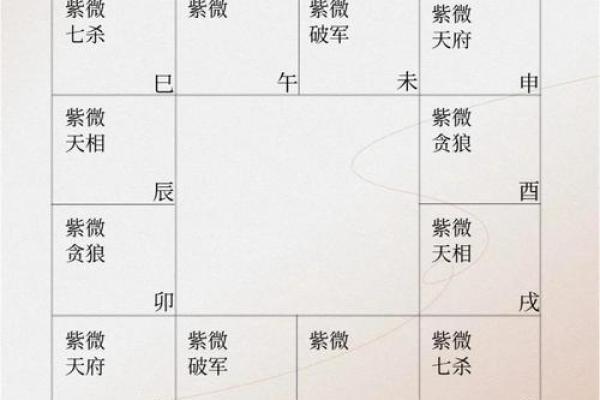 紫薇斗数如何看命运