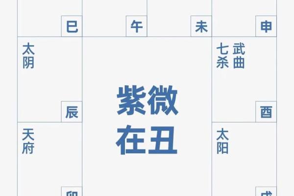 天星算命是 天星算命是