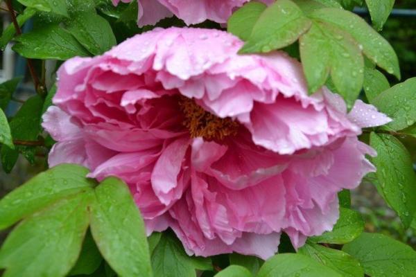 神准测试--最近三个月有无偏财大运？