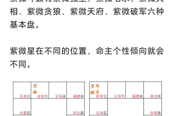 紫薇斗数紫薇入命