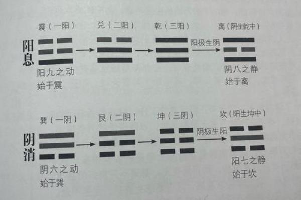 八字必学之玉井奥诀(万民英注) 八字必学之玉井奥诀(万民英注)