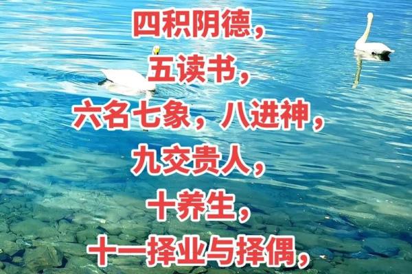 一命二运三风水四积阴德五读书 如何创造好运