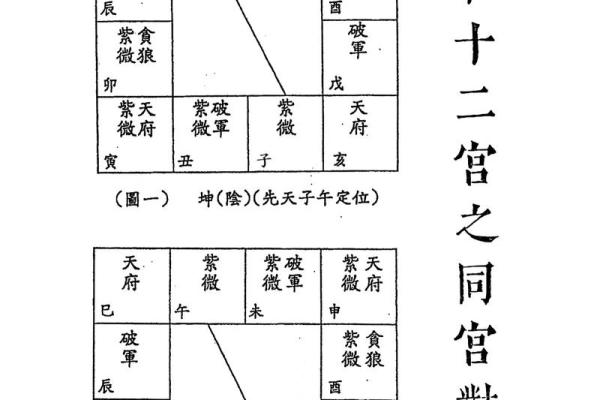 紫薇斗数解析排盘