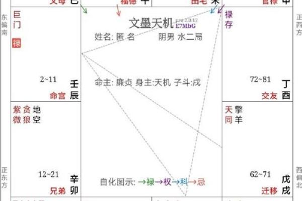 紫薇斗数流出忌