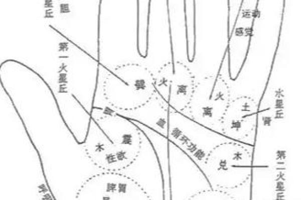 手掌算命 手掌算命