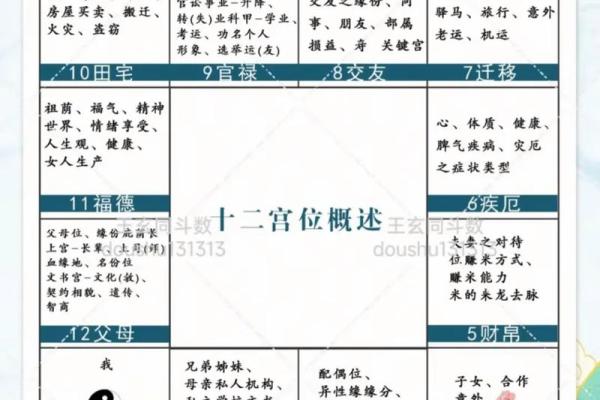 紫微斗数慎和浮 紫微斗数测算？