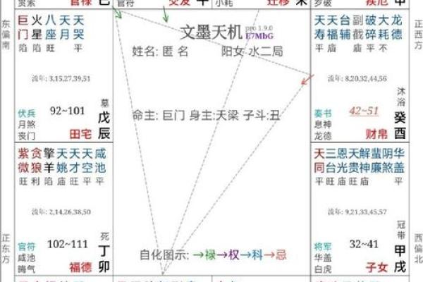 紫薇斗数原盘 紫薇斗数原盘