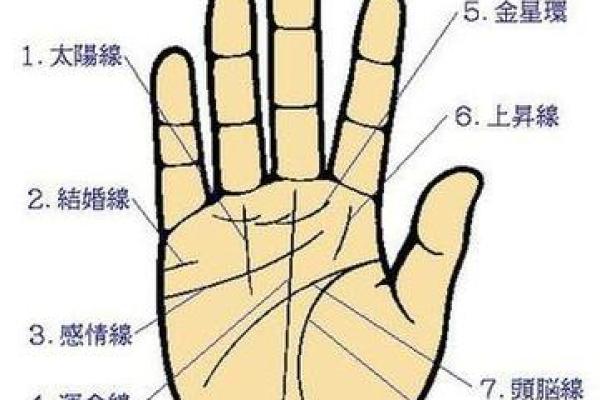 图解;手相赌运纹算命