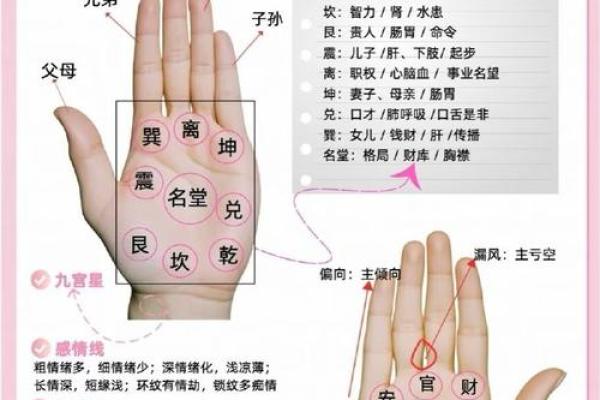 图解;手相赌运纹算命