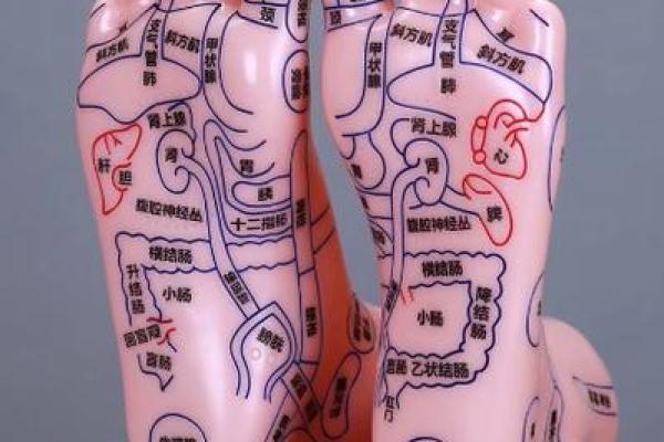 算命看脚相,脚心窝深的命运脚相 算命看脚相,脚心窝深的命运脚相