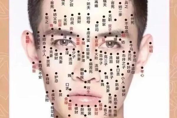 脸上各部位的胎记算命 脸上各部位的胎记算命