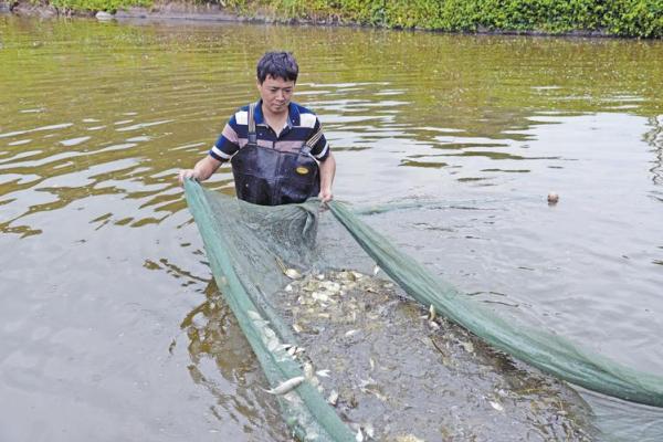 回乡创业，八字还没一撇就被支书要走3万 纪委出手了