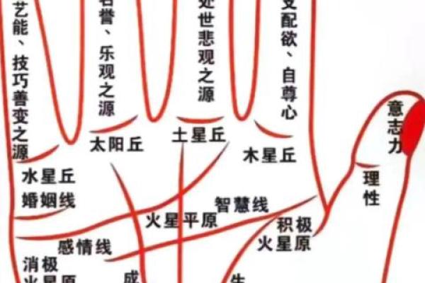 有横财偏财的手相女命八字 有横财偏财的手相女命八字