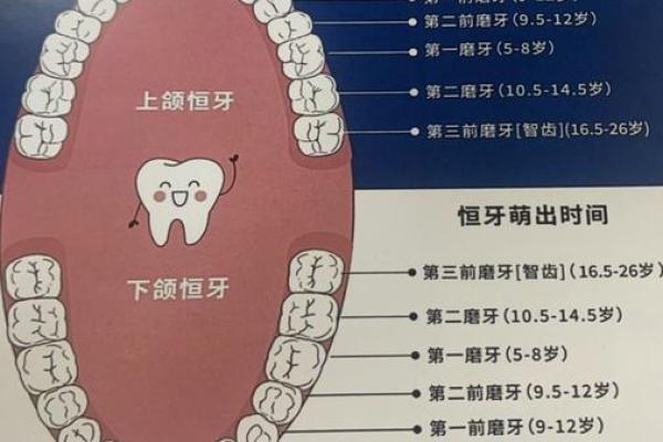 牙齿算命:牙齿的颜色看你的运势 牙齿算命:牙齿的颜色看你的运势