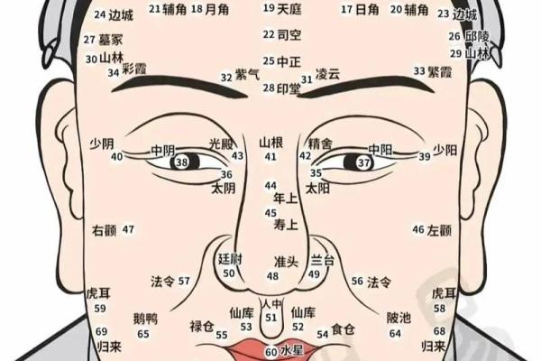 五官看面相算命图解男 男人五官面相大全 五官看面相算命图解男 男人五官面相大全