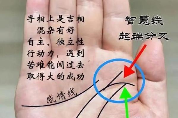 算命先生主动邀请看手相 算命先生主动邀请看手相