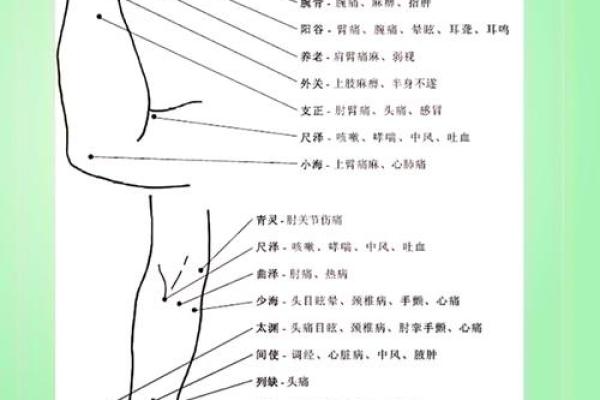 摸骨算命全部教程