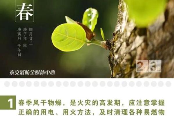 立春 风水