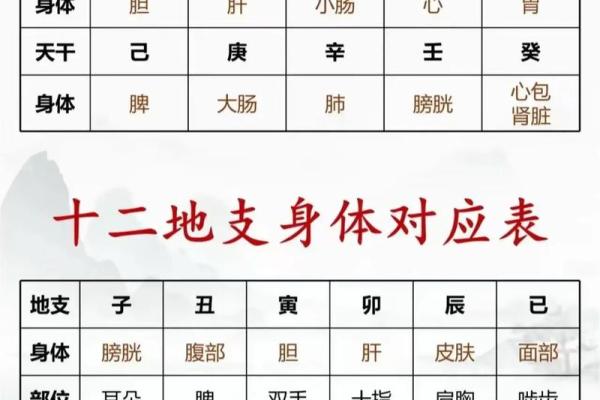 男命八字财星暗藏地支 八字日干旺