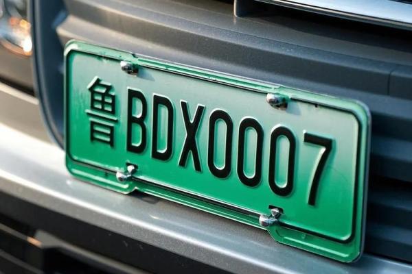 新能源车牌吉凶测试