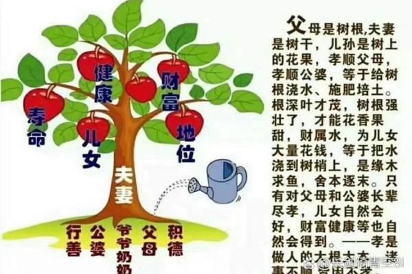 母凭子贵 八字分析 这些八字的女人注定可享大福