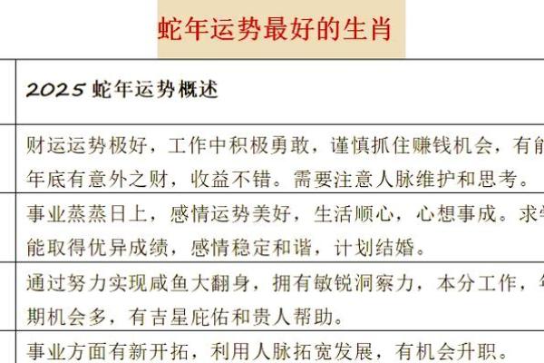 属蛇人2025年能上坟吗_2025年属蛇人清明扫墓宜忌解析运势指南与注意事项 属蛇人2025年能上坟吗_2025年属蛇人清明扫墓宜忌解析运势指南与注意事项