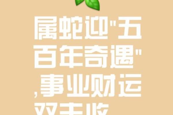 2025年属蛇人年龄解析出生月份对应的周岁计算 2025年属蛇人年龄解析出生月份对应的周岁计算