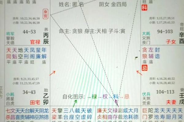 夫妻宫有武曲是什么意思_夫妻宫有武曲是什么意思啊 夫妻宫有武曲是什么意思_夫妻宫有武曲是什么意思啊