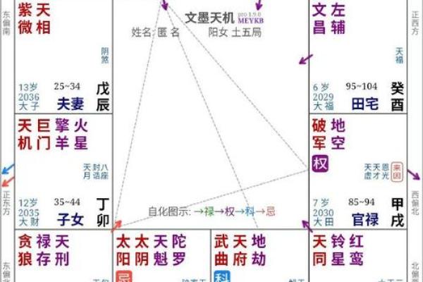 福德宫看配偶事业 福德宫揭秘配偶事业运势全解析 福德宫看配偶事业 福德宫揭秘配偶事业运势全解析