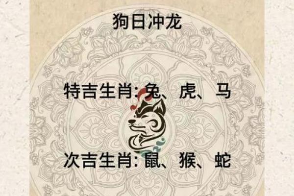 2025年生肖鼠运势 2025年生肖鼠运势
