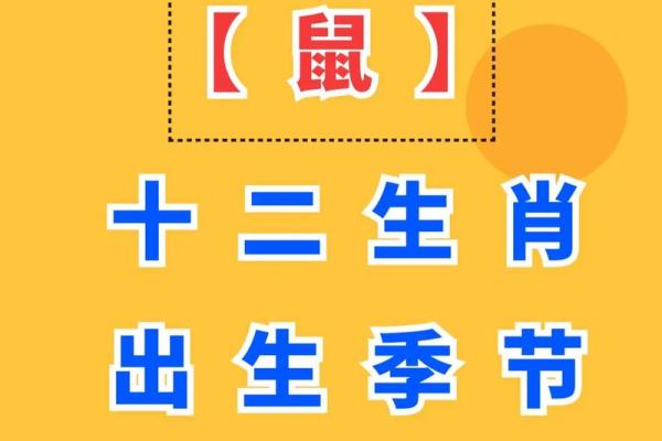 2025年生肖鼠运势 2025年生肖鼠运势