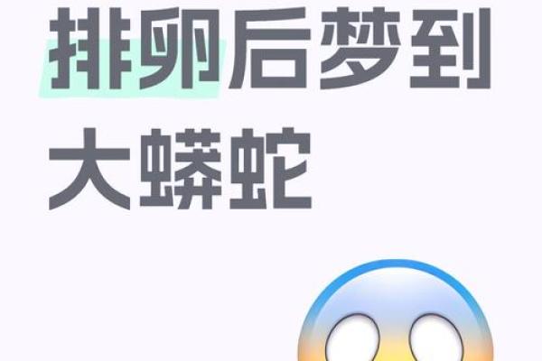 老公梦见蛇是什么预兆 老公梦见蛇是什么预兆