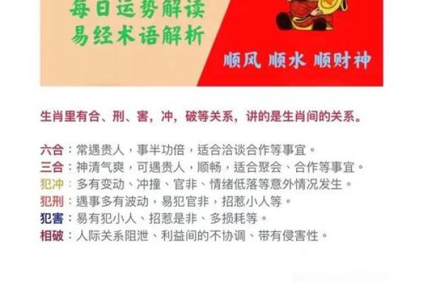 因地制宜什么生肖 因地制宜什么生肖