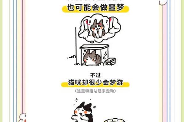 梦见小猫是什么预兆 女性 梦见小猫是什么预兆 女性