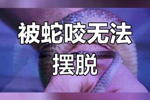 梦见儿子被蛇咬了是什么征兆