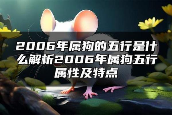 2006年属狗一生学业 属狗的做什么行业最赚钱 2006年属狗一生学业 属狗的做什么行业最赚钱