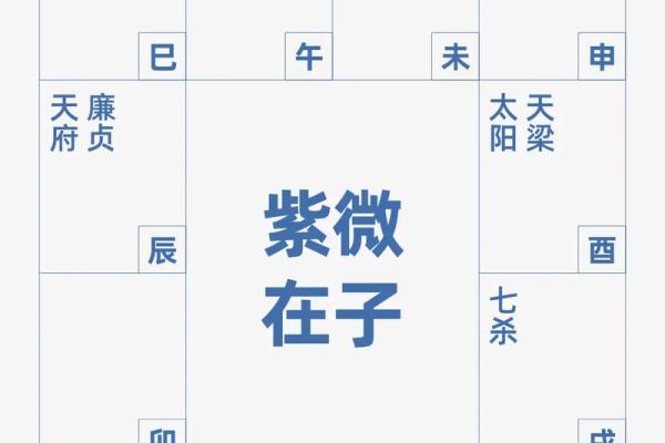 2025年4月20日子时女命紫微斗数全解盘 2025年4月20日子时女命紫微斗数全解盘
