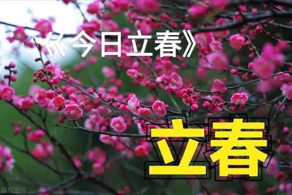 2020什么时候立春几点几分 2020什么时候立春几点几分