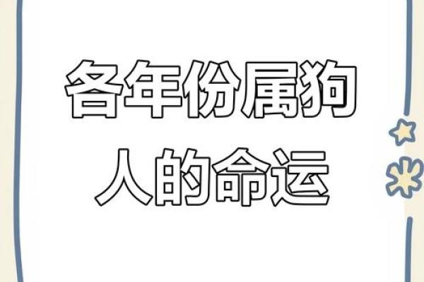 94年属狗女2025年运势 94年属狗女2025年运势详解事业财运爱情全解析 94年属狗女2025年运势 94年属狗女2025年运势详解事业财运爱情全解析