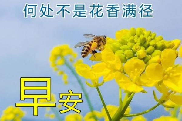 2022年图片大全 2022年图片大全